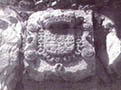 Elementos singulares