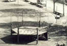 Elementos singulares